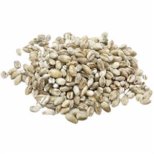 Barley Pearl