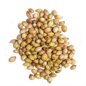 Coriander seed