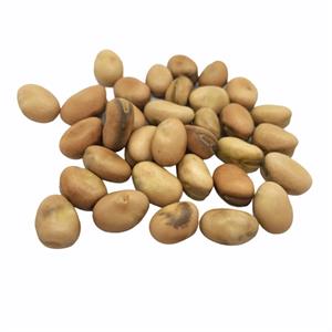 Fava Beans