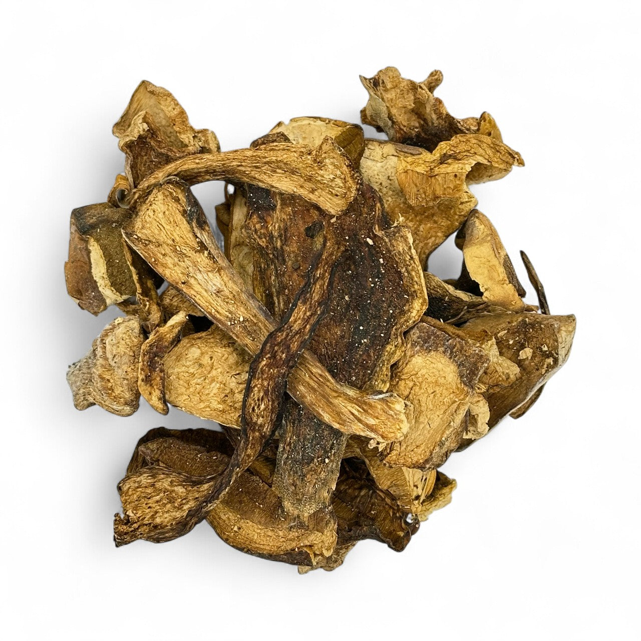 Mushrooms, Porcini