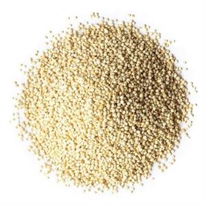 Quinoa White