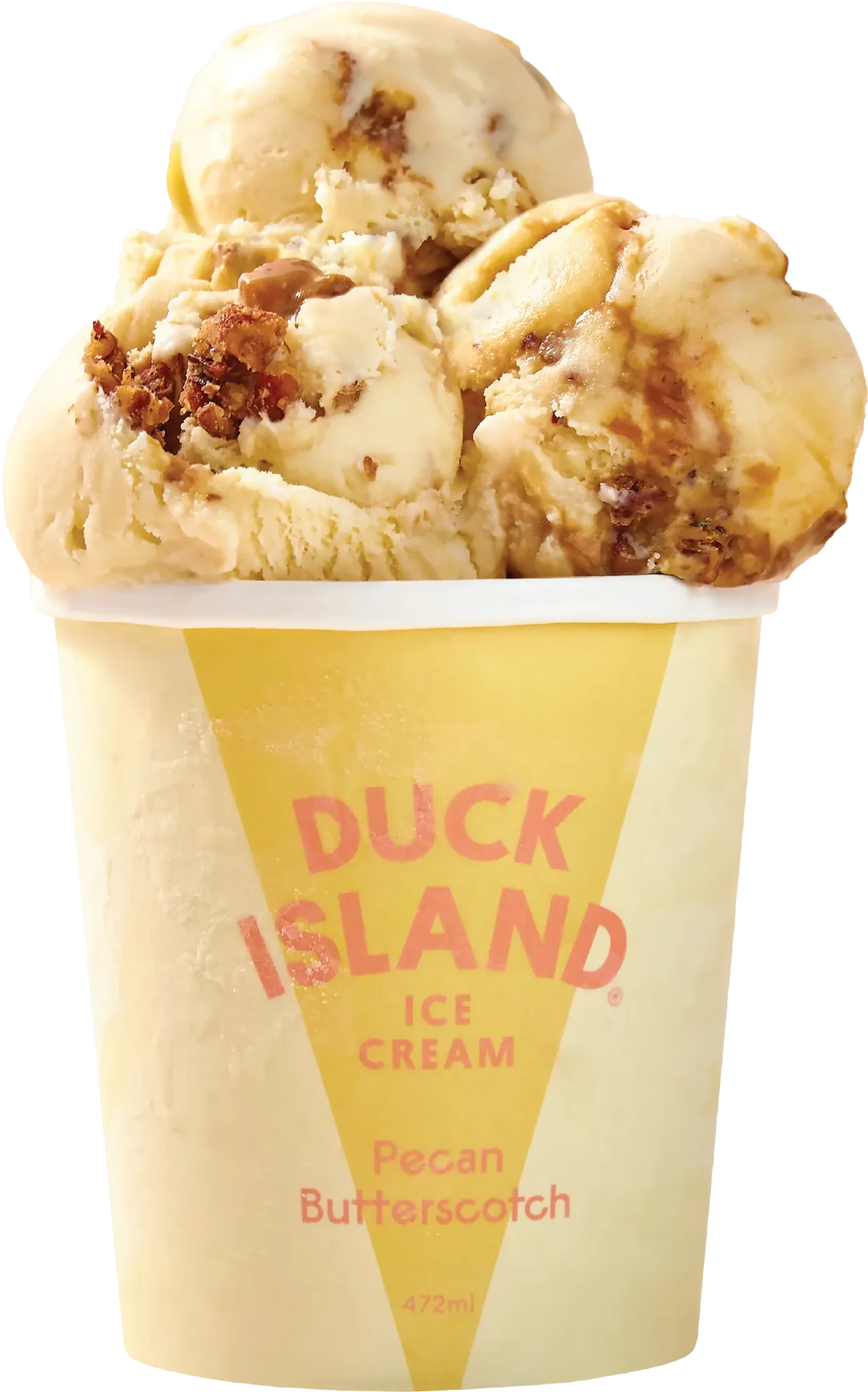 Pecan Butterscotch Ice Cream