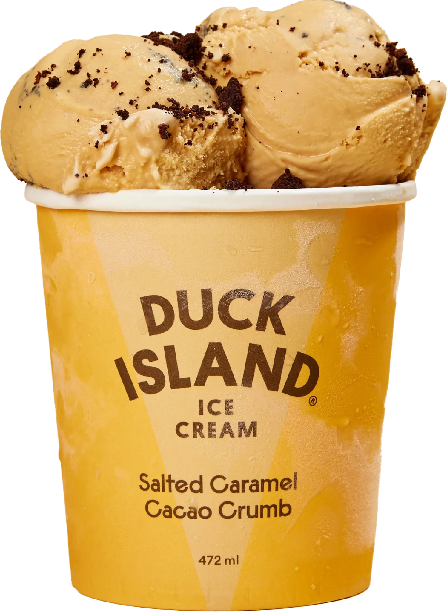 Salted Caramel Cacao Crumb Ice Cream