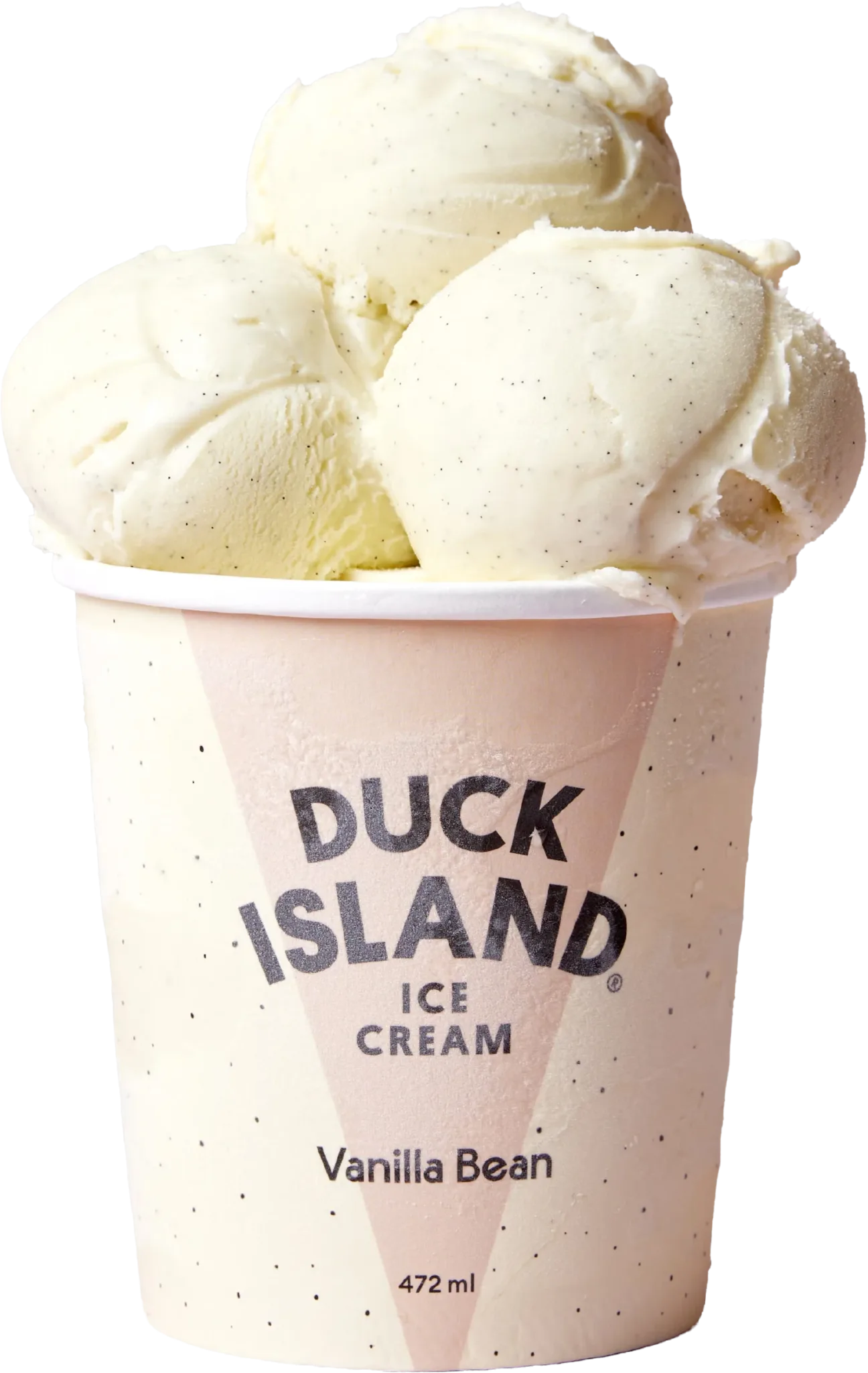 Vanilla Bean Ice Cream