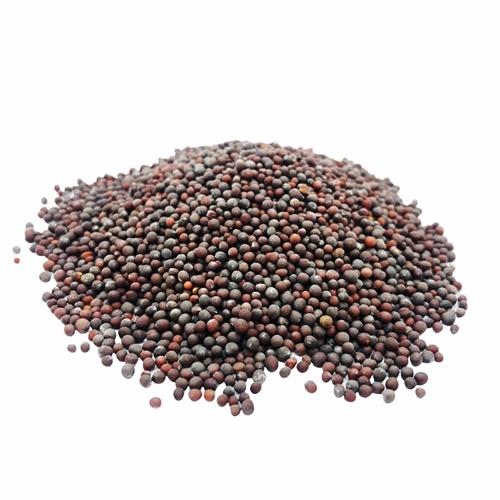 Mustard Seed Black 100g