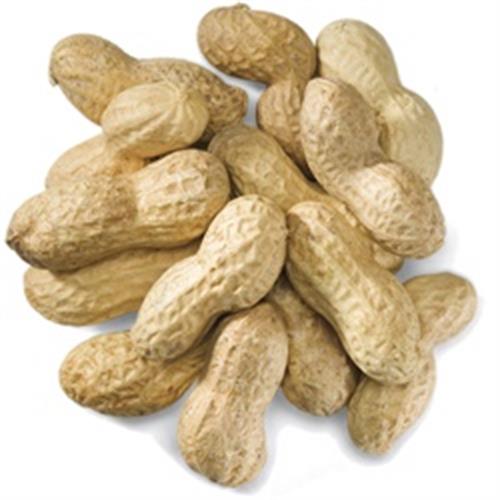 Peanuts Roasted in Shell 500g